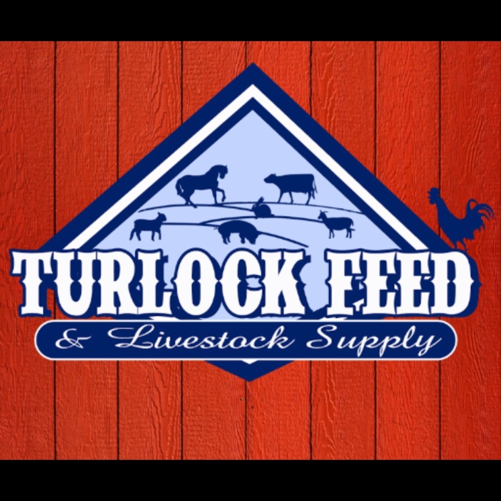 Meet your Posher, Turlock